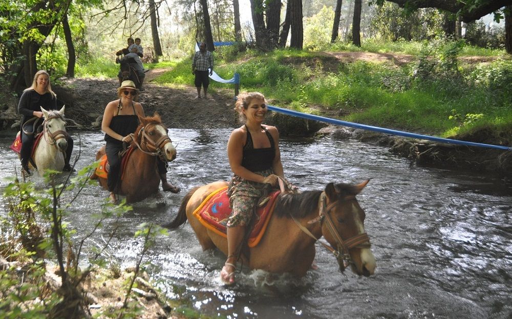 Horse Riding