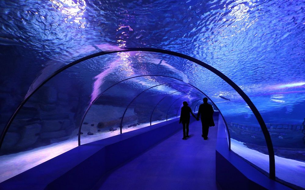 Antalya Aquarium