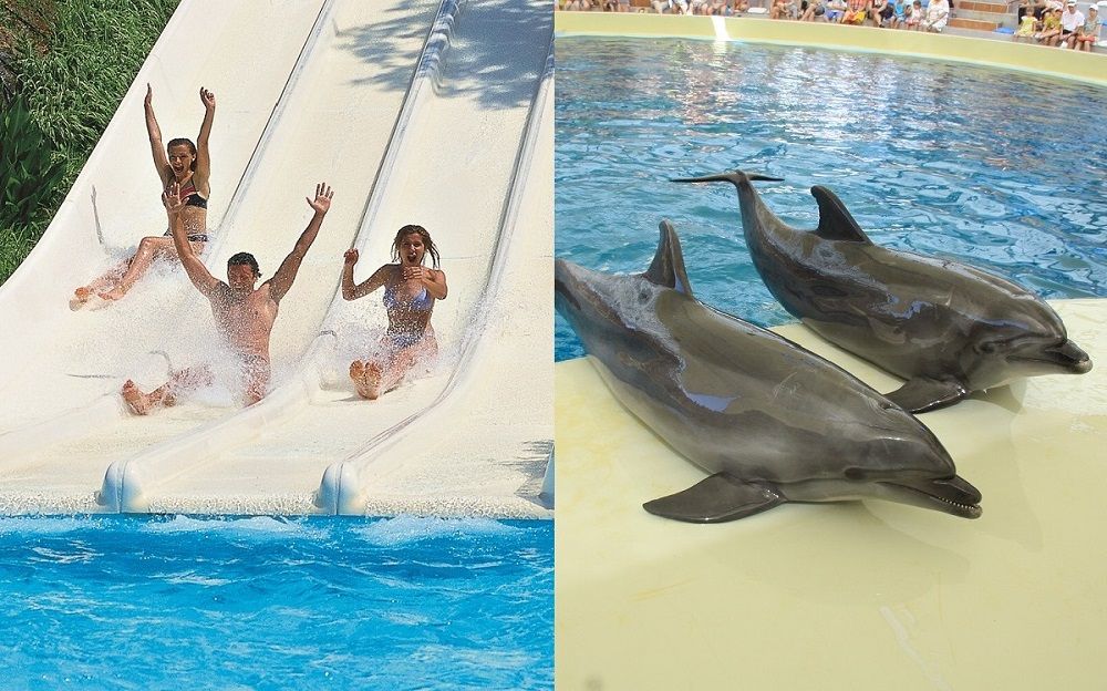 Waterpark/Dolphinpark