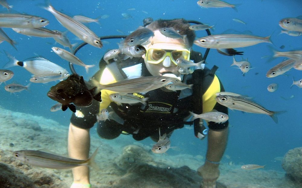 Scuba Diving