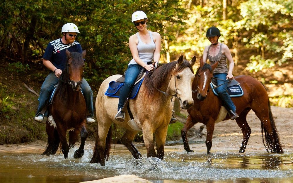 Horse Riding