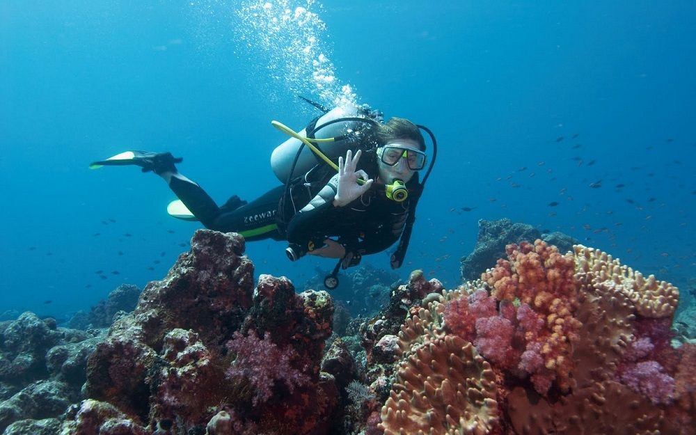 Scuba Diving Experience €32